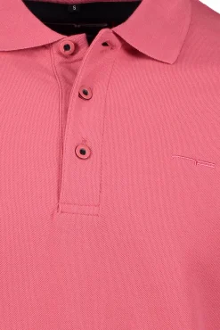 Pike><noscript><img width=