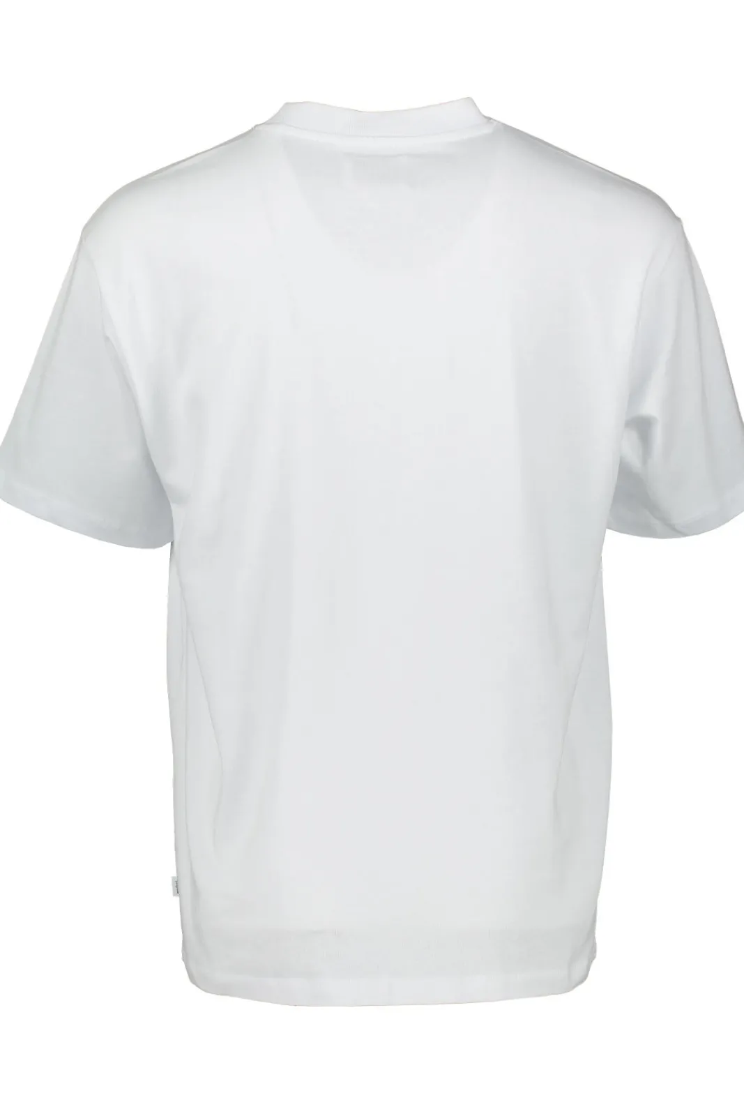 New WoodBird Cole Yosemite Tee