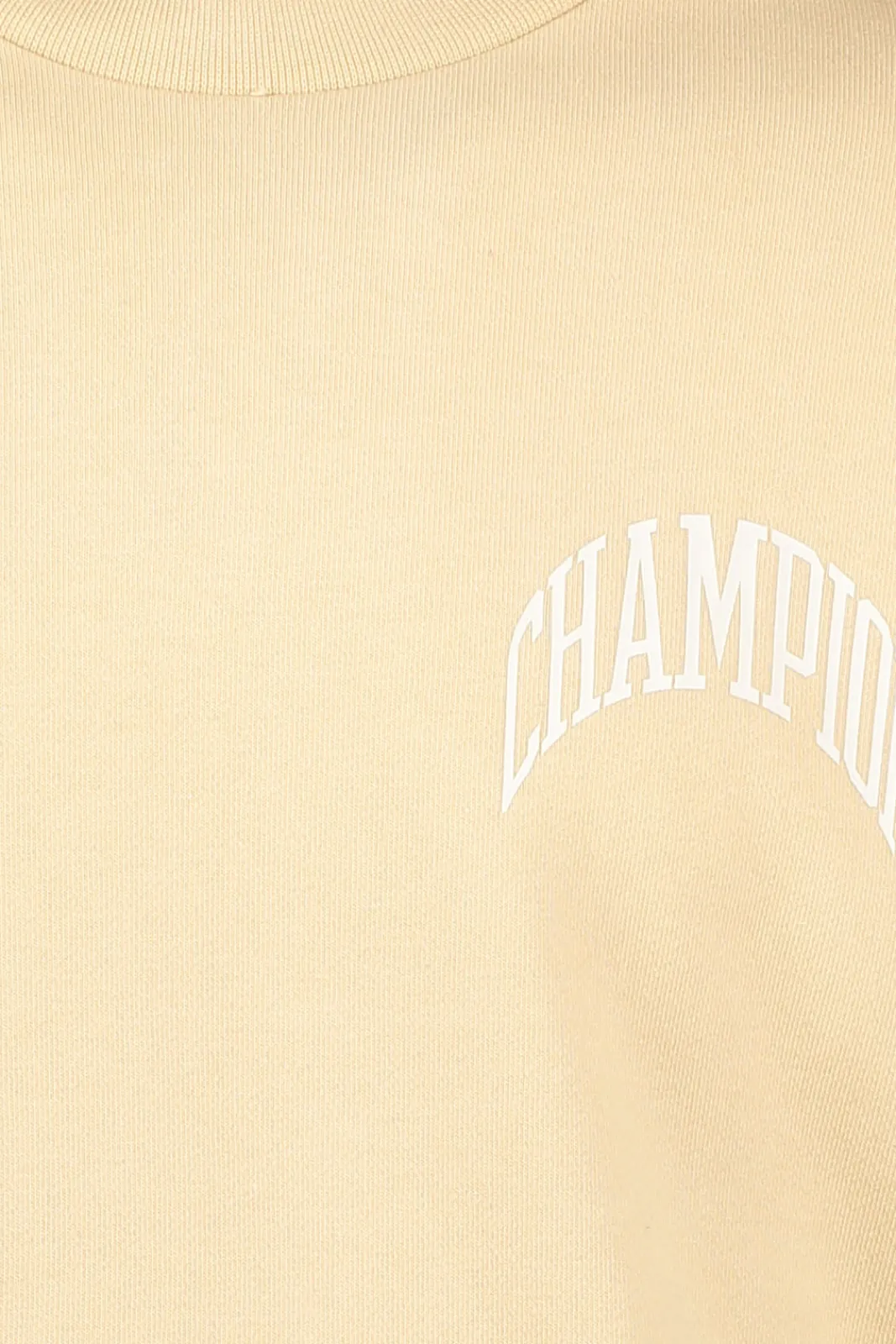 Flash Sale Champion Crewneck Sweatshirt