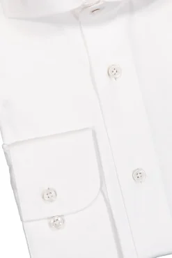 New PROFUOMO Cutaway Sf Sc