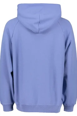 Best Champion Hooded Sweatshirt
