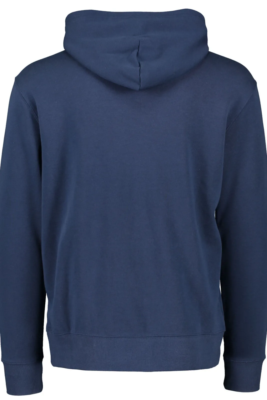 Flash Sale Champion Hooded Sweatshirt