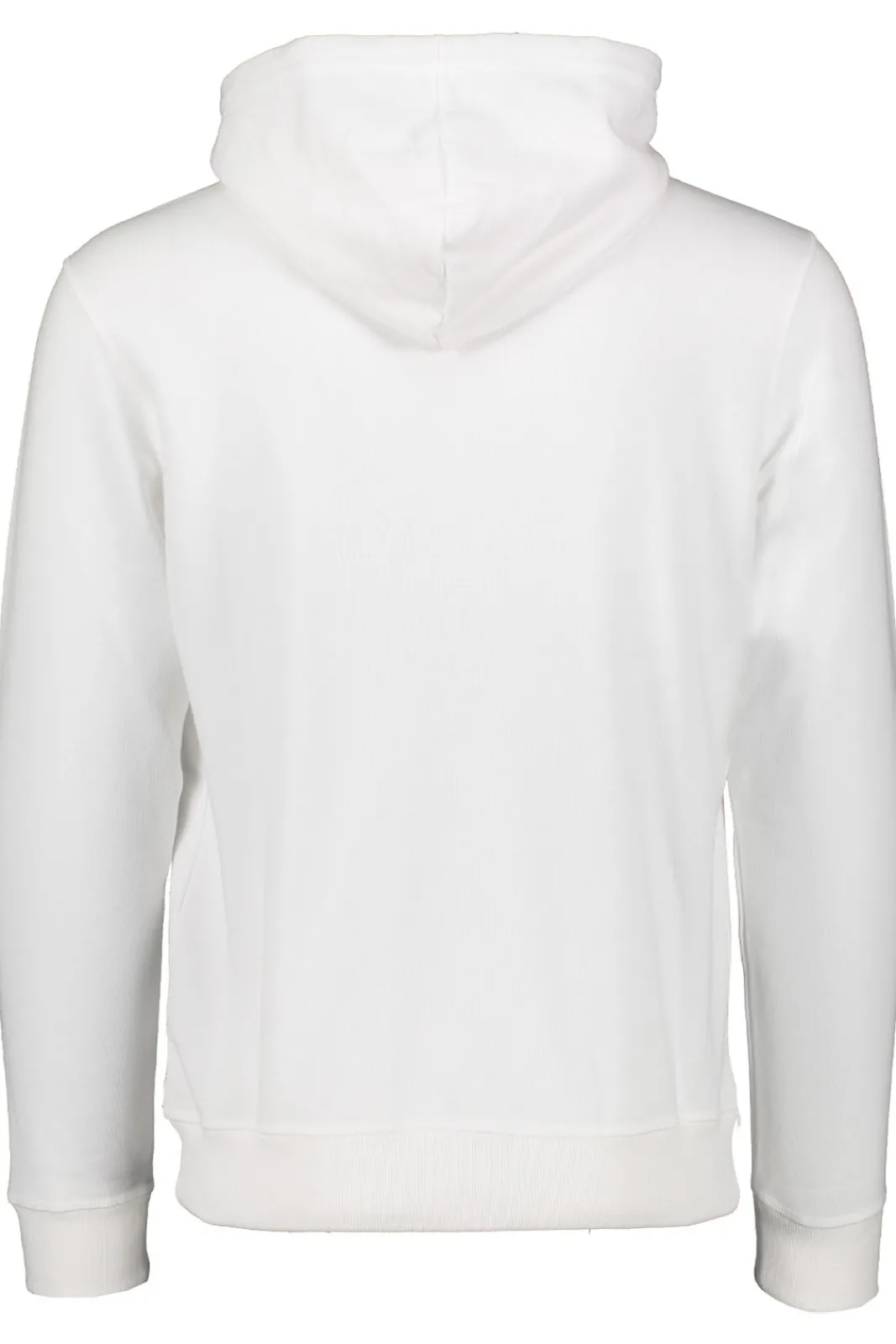 Cheap Champion Hooded Sweatshirt