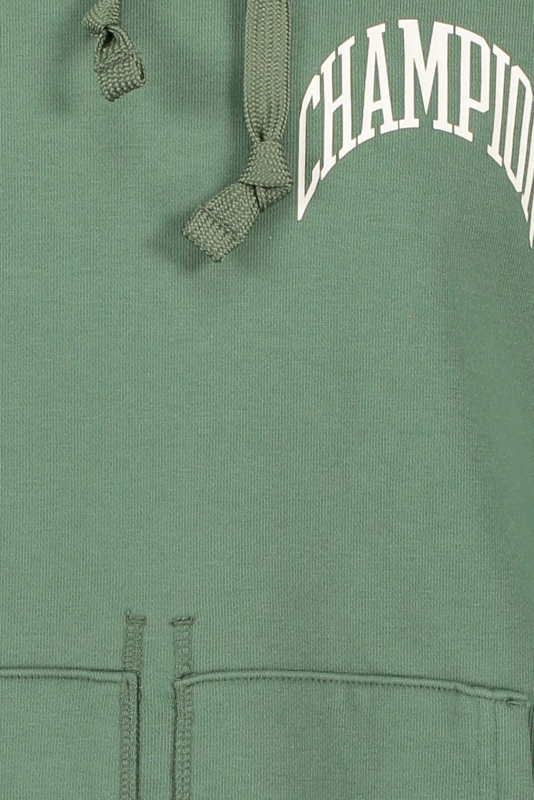 Flash Sale Champion Hooded Sweatshirt