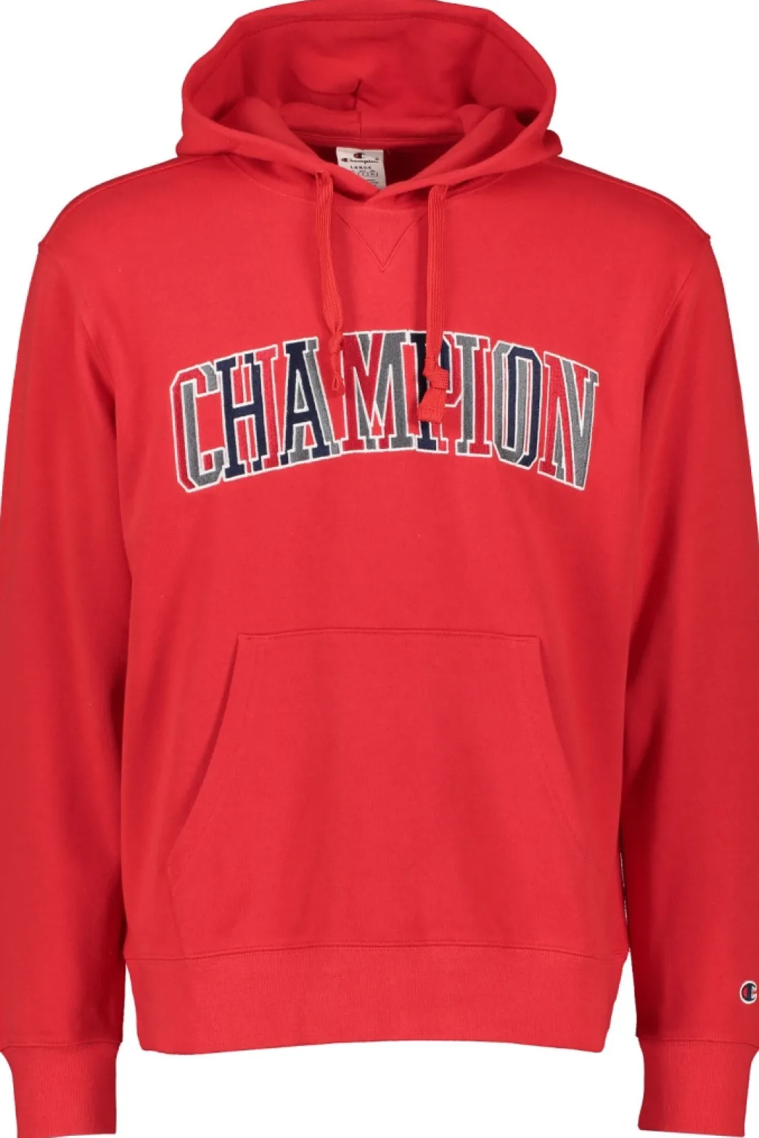 Shop Champion Hooded Sweatshirt