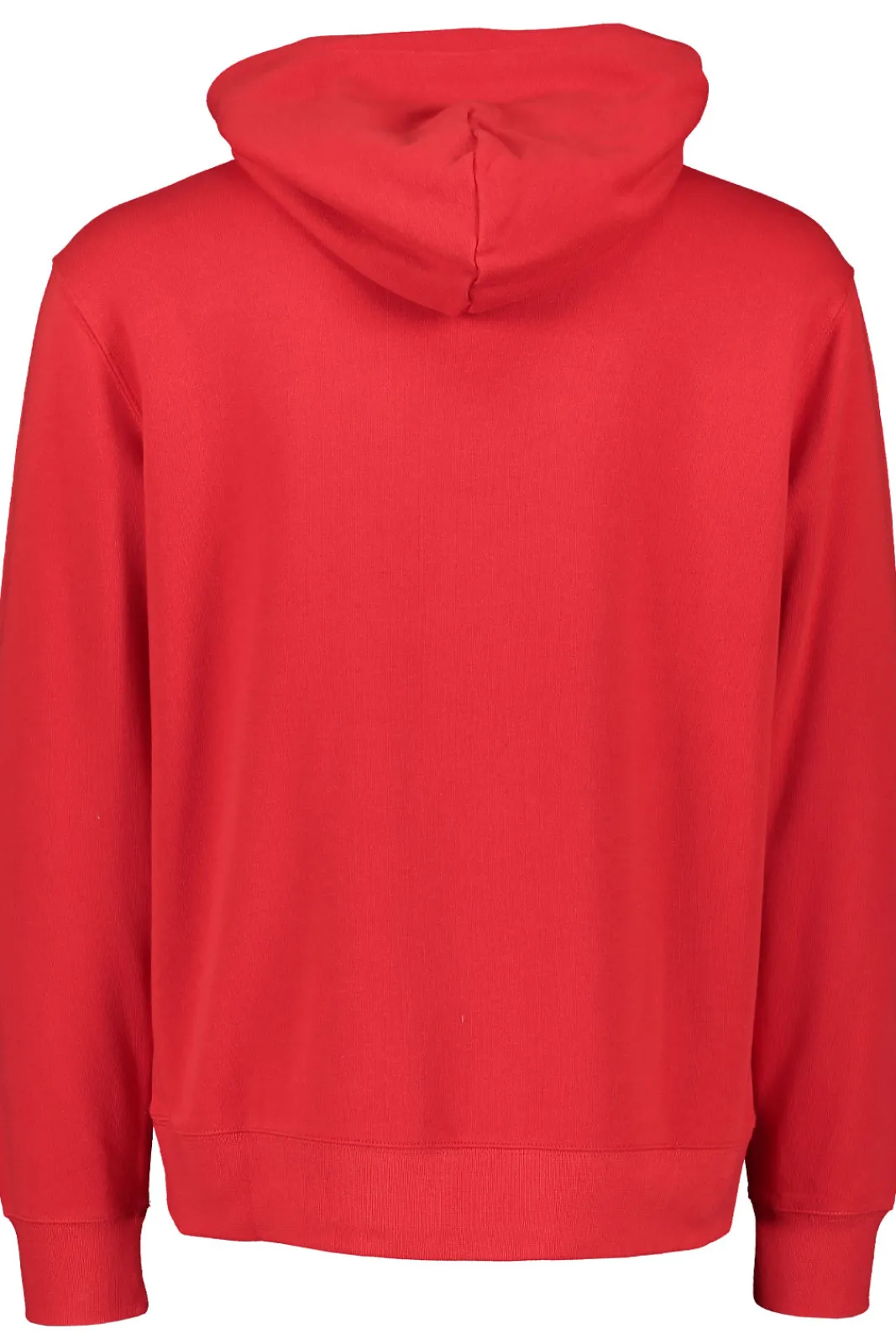 Shop Champion Hooded Sweatshirt