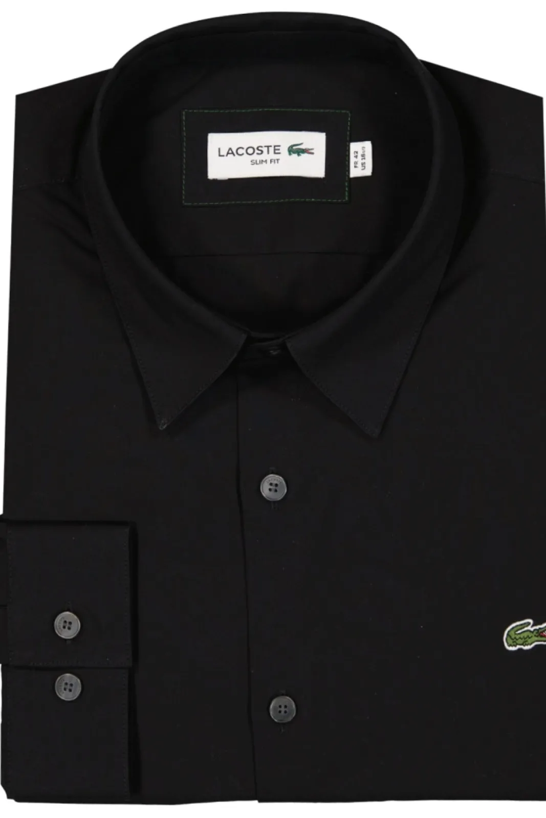 Flash Sale LACOSTE Shirt