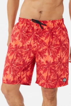Cheap CMP Man Medium Shorts