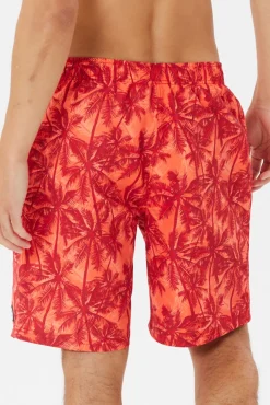 Cheap CMP Man Medium Shorts