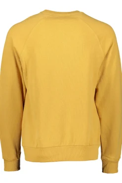 Flash Sale Elvine Nicandro