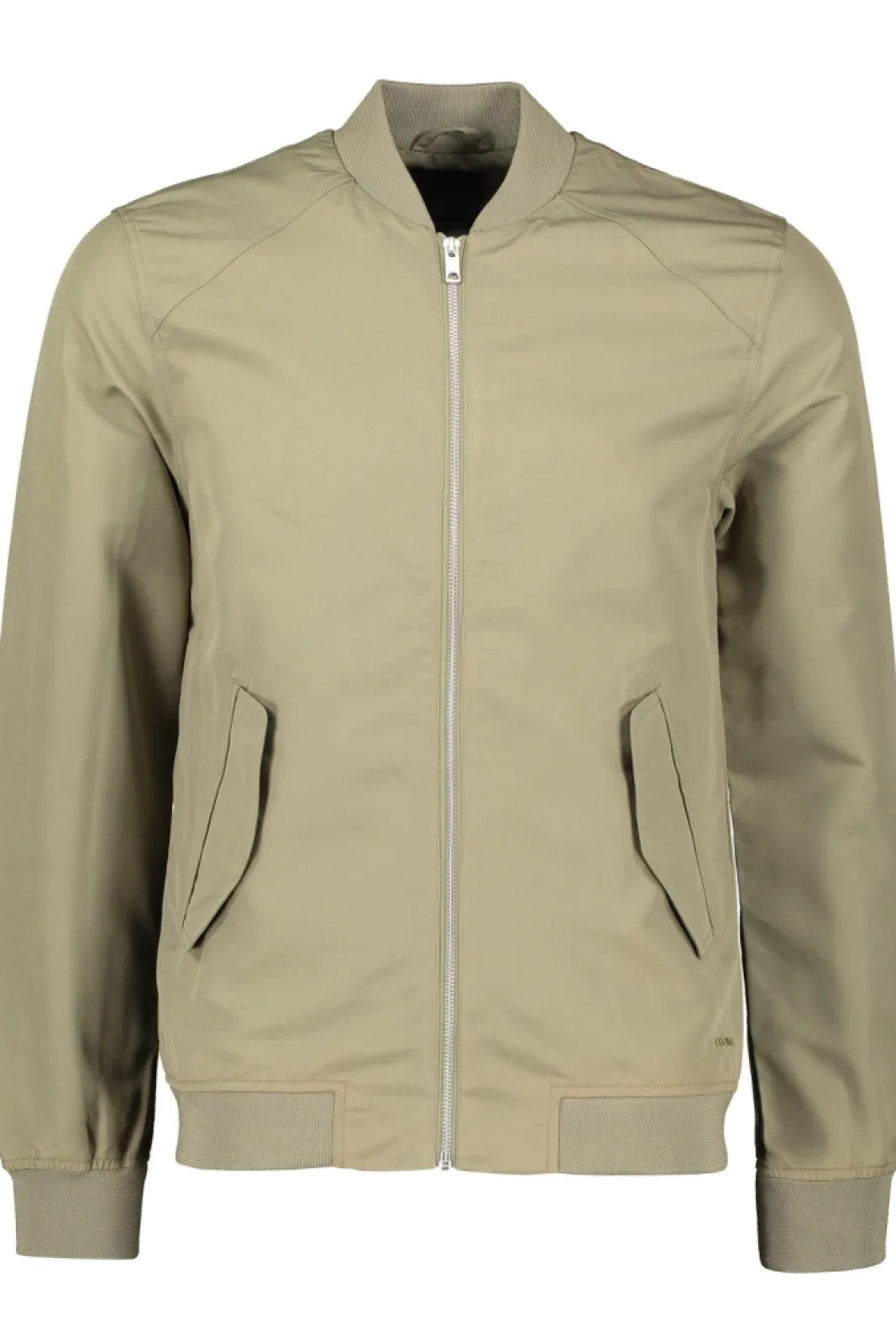 Shop Elvine Rex