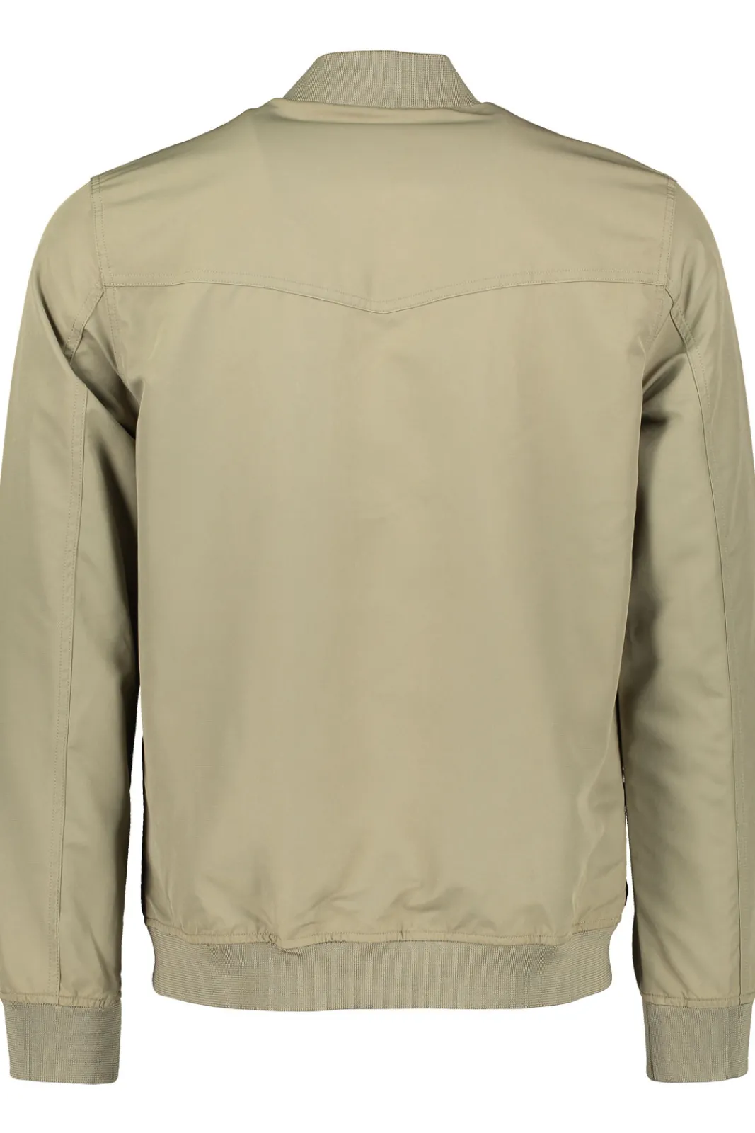 Shop Elvine Rex