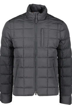 Store MORRIS Whitby Lt Down Jacket