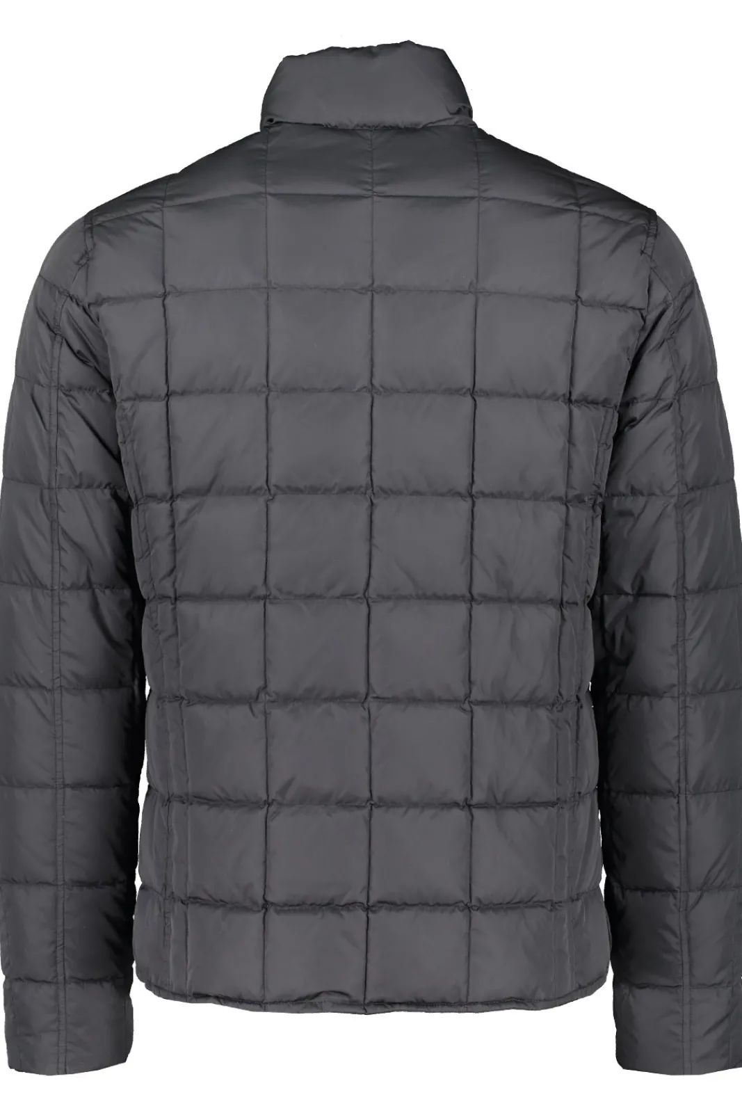 Store MORRIS Whitby Lt Down Jacket